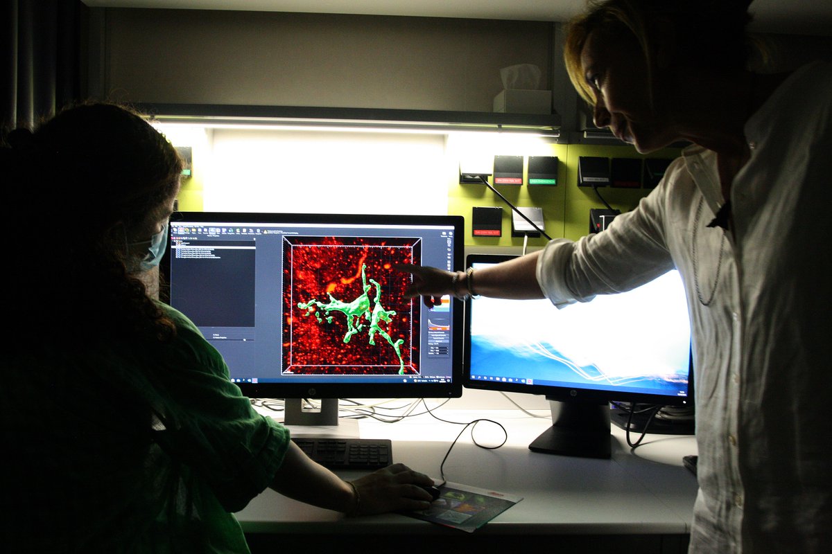 Antonella Consiglio (@consigliolab) on Twitter photo En <a href="/ConsiglioLab/">Antonella Consiglio</a> usamos células madre para estudiar la enfermedad de Parkinson👩🔬 <a href="/idibell_cat/">IDIBELL</a> <a href="/IBUB_UB/">IBUB-UB</a> <a href="/UniBarcelona/">Universitat de Barcelona</a>
Excelente iniciativa de <a href="/UMyC_Ciencia/">Unidad de Mujeres y Ciencia</a> para visibilizar la labor de las mujeres científicas cientificasinnovadoras.fecyt.es/cientificas/an… #YoSoyCientificaInnovadora #Mujerescientíficas En <a href="/ConsiglioLab/">Antonella Consiglio</a> usamos células madre para estudiar la enfermedad de Parkinson👩🔬 <a href="/idibell_cat/">IDIBELL</a> <a href="/IBUB_UB/">IBUB-UB</a> <a href="/UniBarcelona/">Universitat de Barcelona</a>
Excelente iniciativa de <a href="/UMyC_Ciencia/">Unidad de Mujeres y Ciencia</a> para visibilizar la labor de las mujeres científicas cientificasinnovadoras.fecyt.es/cientificas/an… #YoSoyCientificaInnovadora #Mujerescientíficas