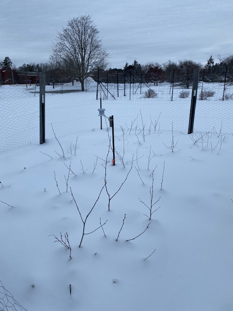 Wason Lab tweet media