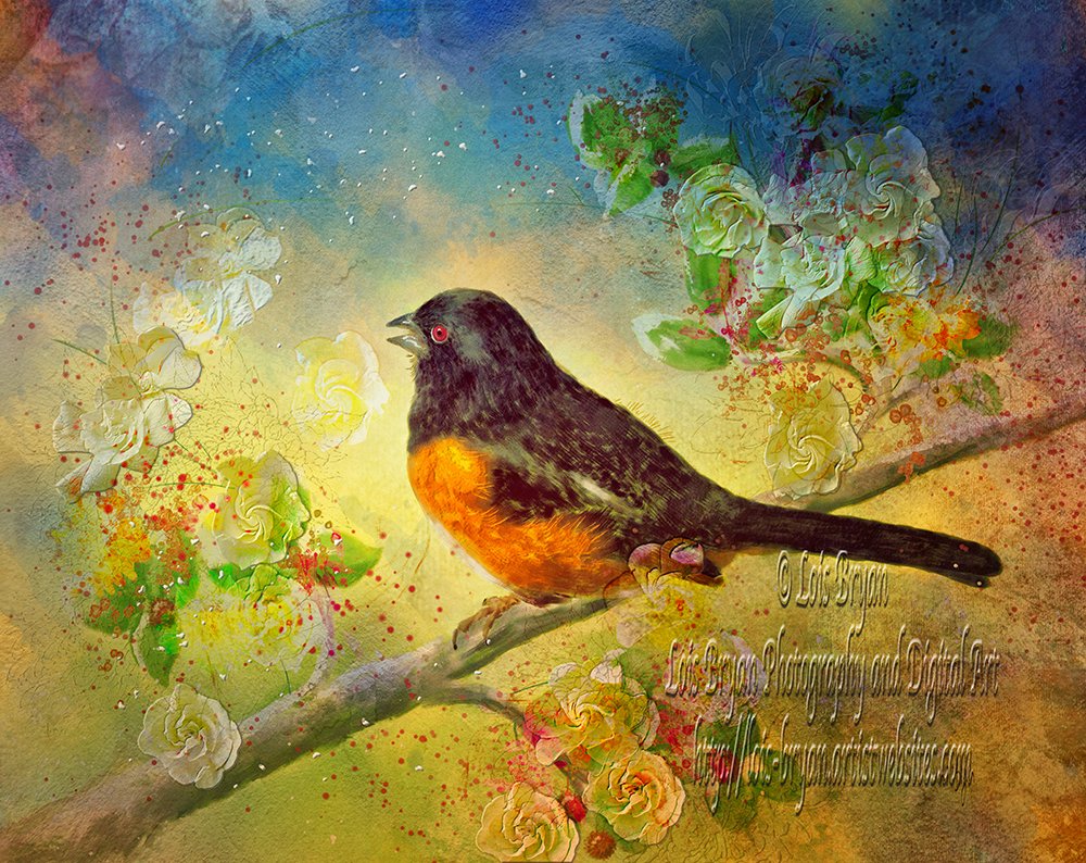 LoisBryanPhotog's tweet photo. "Welcoming Spring" Eastern Towhee digitally hand painted (by a human, me! 🤣) in #CorelPainter using 1 of my own photos (not stock or public domain) as a starting point.  https://t.co/0dsXbs0aN3 #birds #spring #towhee  #digitalhandpainting #CorelPainter #flowers #trees #LoisBryan https://t.co/vm189sf9cs