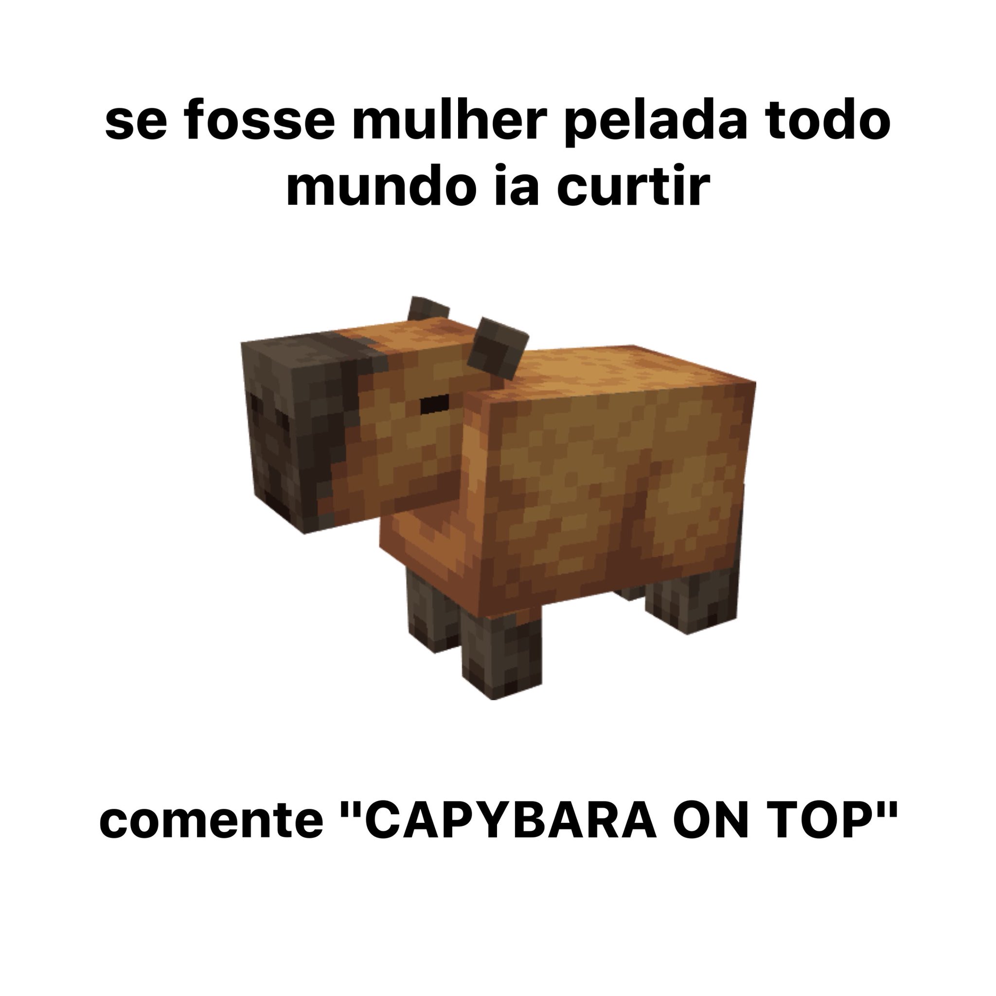 Minecraft Mapas on X: Sim, esse cara construiu uma capivara gigante no  minecraft. CAPYBARA ON TOP  / X