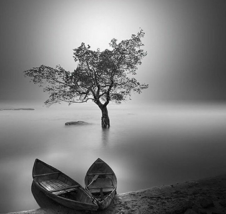 Photographers show me your BLACK &amp; WHITE shots  📸

I will start 

Let's support one another
Retweeting the best ones
  🔃
Let's all have fun and connect with new people.

#blackandwhite #bw #photography#photo #photographer 
Tap 👇🏼