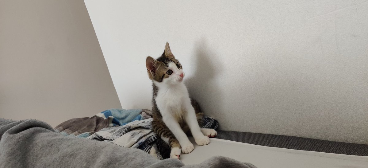 Throwback als er noch so smol war owo