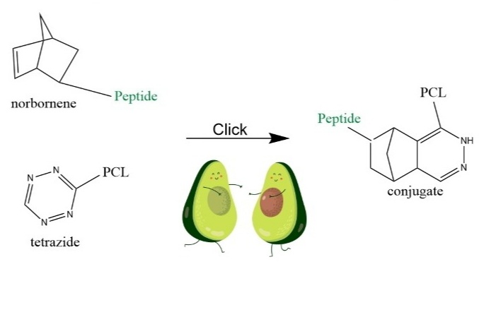 F Gerardo Ortega Oviedo 🇲🇽🏳️‍🌈 tweet media