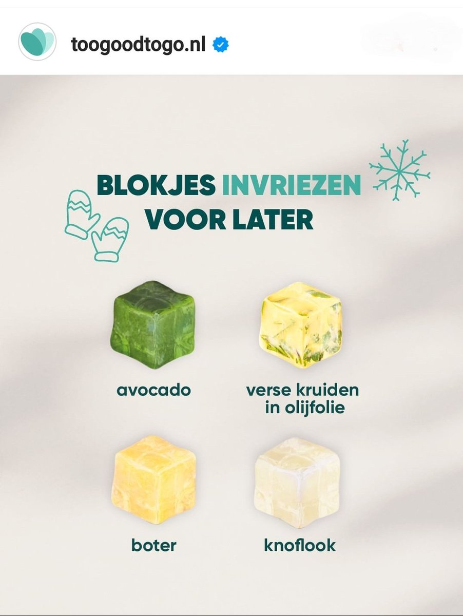 Evangelina Elliott 🐦 tweet media