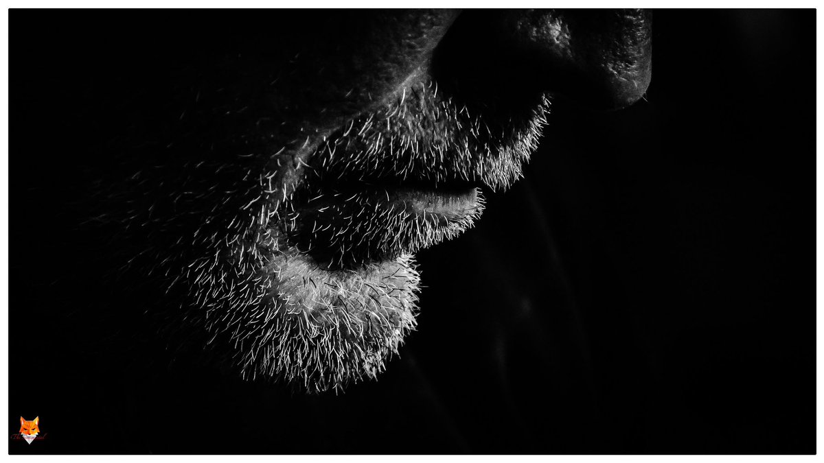 De dag dat <a href="/TimWengelaar/">Tim Wengelaar</a> met zijn  camera langskomt bij <a href="/WALHALLAb_NL/">WALHALLAb</a> ...