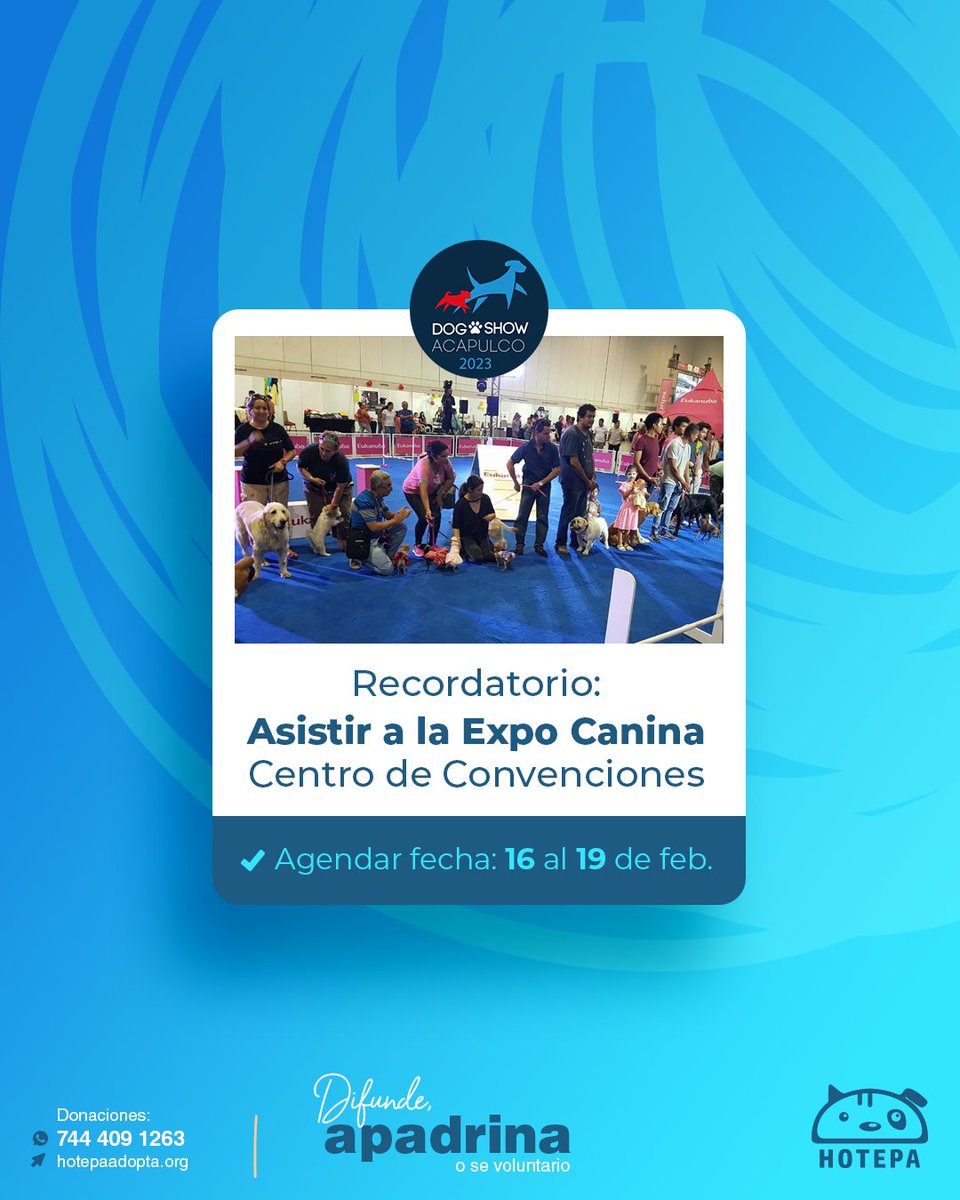 HotepaAdopta's tweet photo. "Estaremos del 𝟭𝟲-𝟭𝟵 𝗱𝗲 𝗳𝗲𝗯. 𝗿𝗲𝗰𝗶𝗯𝗶𝗲𝗻𝗱𝗼 𝗱𝗼𝗻𝗮𝘁𝗶𝘃𝗼𝘀 para los Hotepos, en la Expo Canina. 📦🐕
Nos vemos en el 𝗖𝗲𝗻𝘁𝗿𝗼 𝗱𝗲 𝗖𝗼𝗻𝘃𝗲𝗻𝗰𝗶𝗼𝗻𝗲𝘀, la inauguración es a las 10 am. Ven a disfrutarla.
#expocanina #dogshow #adopta #acapulco https://t.co/oD9Ogv5tKj