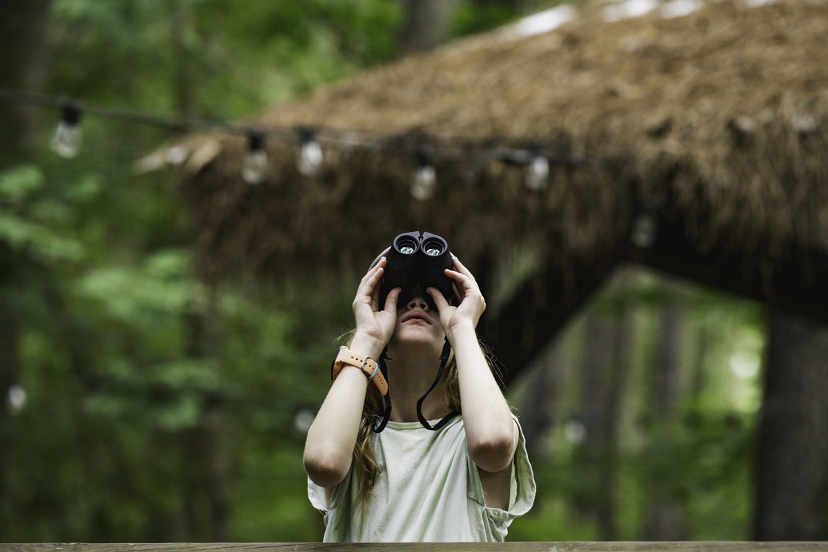 Whitewater tweet media