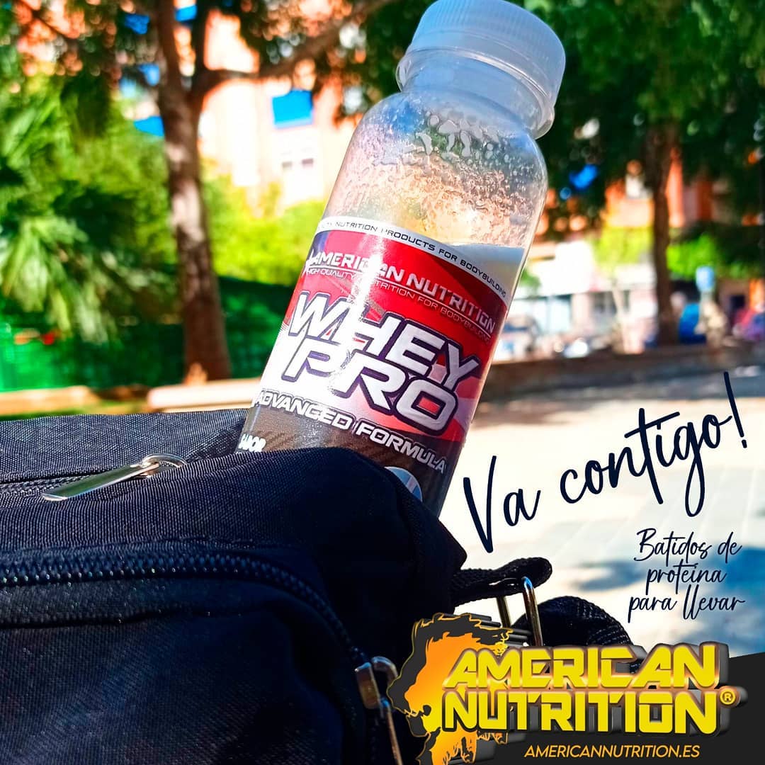 AmericaNutri's tweet photo. ¡Comienza el día con un impulso de energía con WHEY PRO! Disponible en más de 10 deliciosos sabores.  Pídela ahora en https://t.co/ngWUVnIeBu

 #batidodeproteínas #saludable #energía #fitness #proteínas #suplementos" https://t.co/WnwBvNBrFO