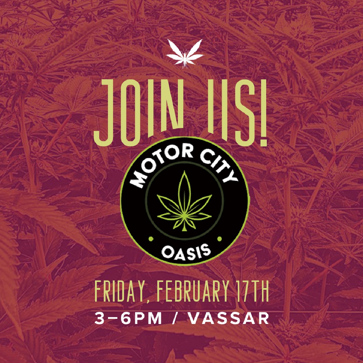 The team is excited for our next vendor day at @MotorCityOasis in Vassar! 🎉

Join us on Friday, 2/17 to grab some Grasshopper Farms swag, meet the team, and learn more about our premium, sun-grown flower.

#GHF #vendorevent #motorcityoasis #sungrown #cannabis