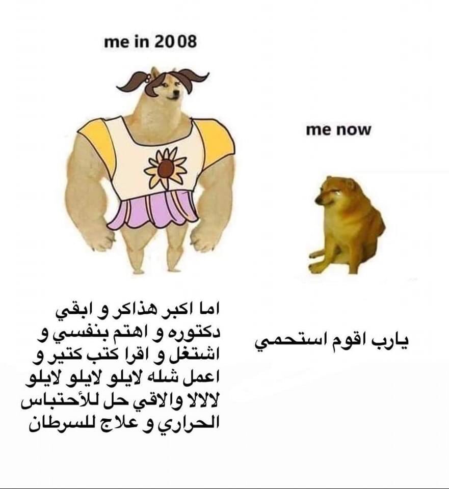 egymeme11's tweet photo. https://t.co/Ve0jG48aQm