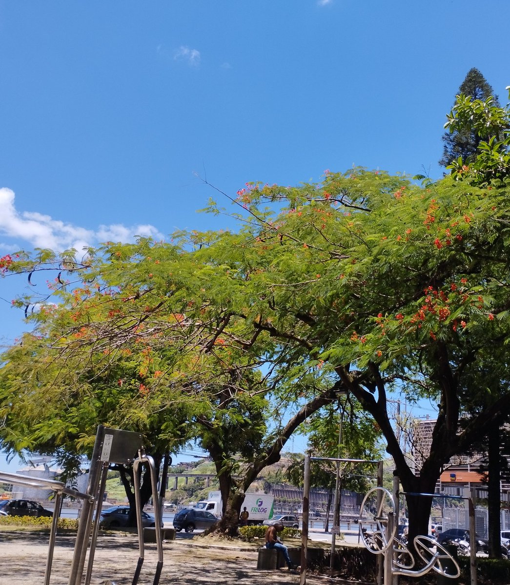 Meu horário de Almoço na Praça Getúlio Vargas...

Esse "descamisado" marca ponto todo dia. 
Aquele hetero top... Tira a camisa para se exibir e come a marmita dele.