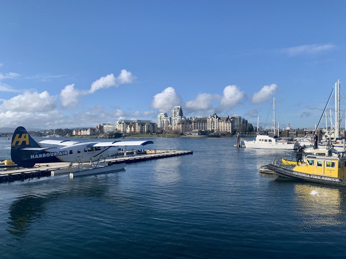 Director-West tweet media