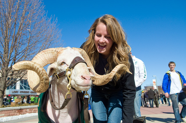 CSU College of Liberal Arts tweet media