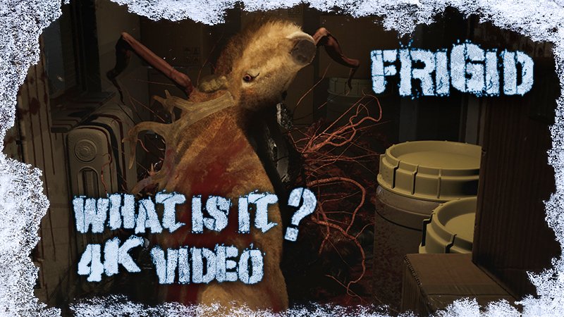 frigidgame's tweet photo. FRIGID - My God, what was happening to it?
https://t.co/ZWg24vOQr1
#indiegame #survivalgame #thething #videogame #gaming #UnrealEngine #pcgaming #horrorgame https://t.co/qmGm86T3sE