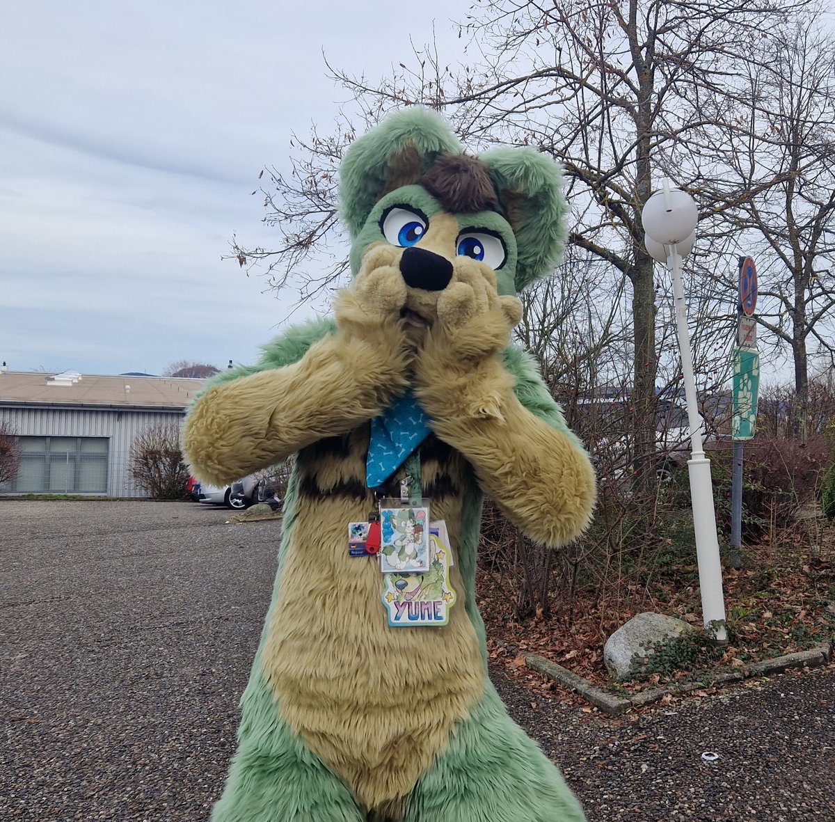 Swift_Lynx's tweet photo. I love this picture I got of @FoxYume 😊

#furvester
#FursuitFriday https://t.co/2DZduYoA84