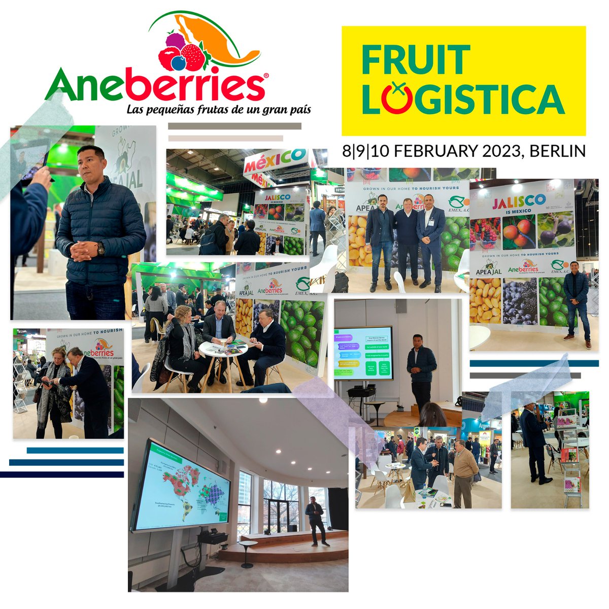 GiganteAgroa's tweet photo. Aneberries se mantiene firme sobre sus objetivos de diversificación de mercados, este 2023 se continuarán con las acciones para promover el consumo nacional y llevar la indiscutible calidad de las berries mexicanas a mas de 40 países a nivel mundial. #Aneberries #México https://t.co/mCnVl623W0