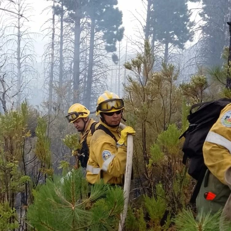 SanLuisLaCiudad's tweet photo. 💪Héroes puntanos: nuestros brigadistas combaten los incendios 

Destacamos su enorme colaboración y lucha contra los incendios forestales en la provincia de Chubut. ¡Gracias Héroes ! 😍🙌

#DefensaCivil https://t.co/lK5sBfApJd