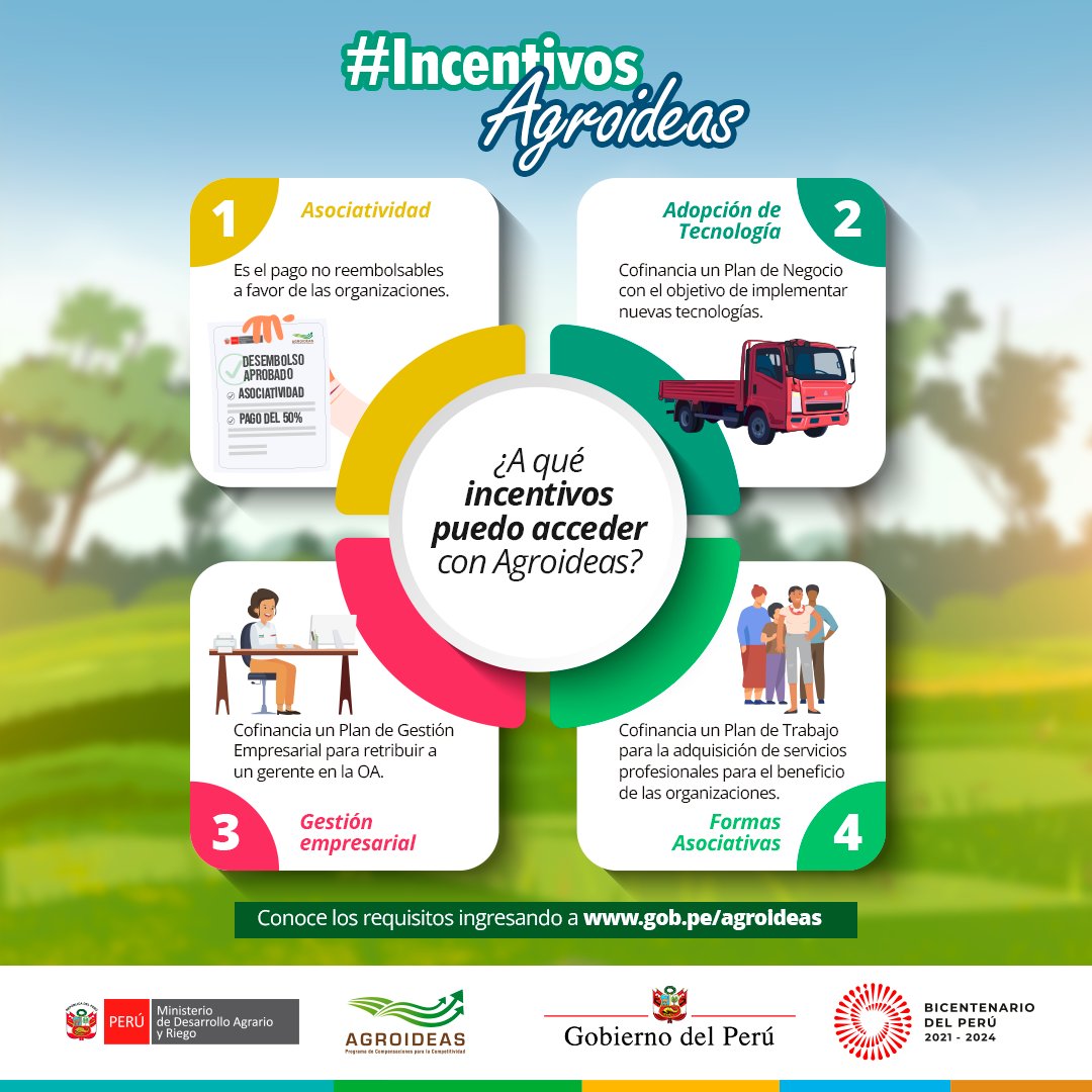 AGROIDEASPeru's tweet image. ✔Entérate más sobre los incentivos a los que puedes acceder con @AGROIDEASPeru , de esta manera fomentamos el fortalecimiento de la gestión empresarial y la adopción de tecnologías agrarias ambientalmente sostenibles de los pequeños y medianos productores agrarios organizados.