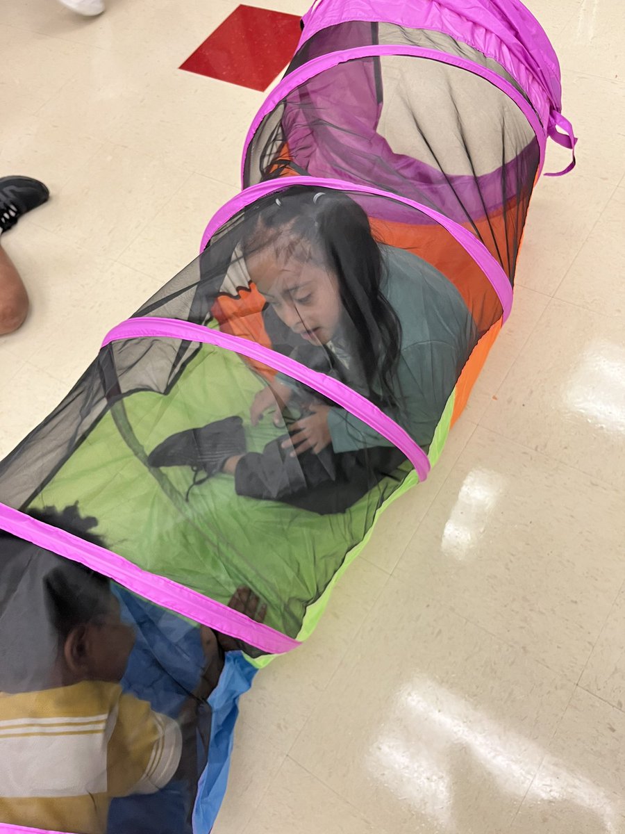 PE_Echeverria's tweet image. I ordered tunnels for field day. They came in today my K-2 ESE kids LOVED them! #PEforall #AdaptedPE @1220RooseveltEL @TiradoEileen @pbcsd