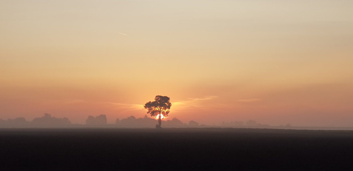 @Neil_Carter25 @KingsLynnLive @ChrisPage90 @WeatherAisling @DiscKingsLynn @TheLynnNews @LEEFilters @edpkingslynn @YourLocalPaper Here sunrise at 'Lonely Tree' from the hairpin between Magdalen and St Germans