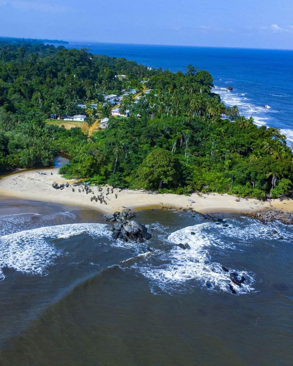 PondoPix tweet media