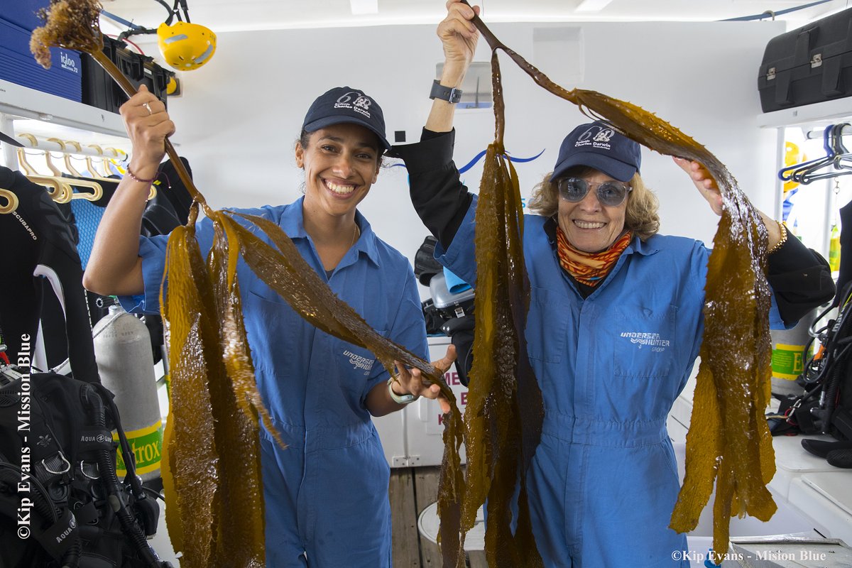 MissionBlue's tweet photo. "Never before has there been a time of greater opportunity, or need, for women in science, business, government, technology, engineering, art, and math. Women are needed to help solve the biggest problem of all for the ocean and for the world: ignorance." @SylviaEarle https://t.co/lAjadPIwoT