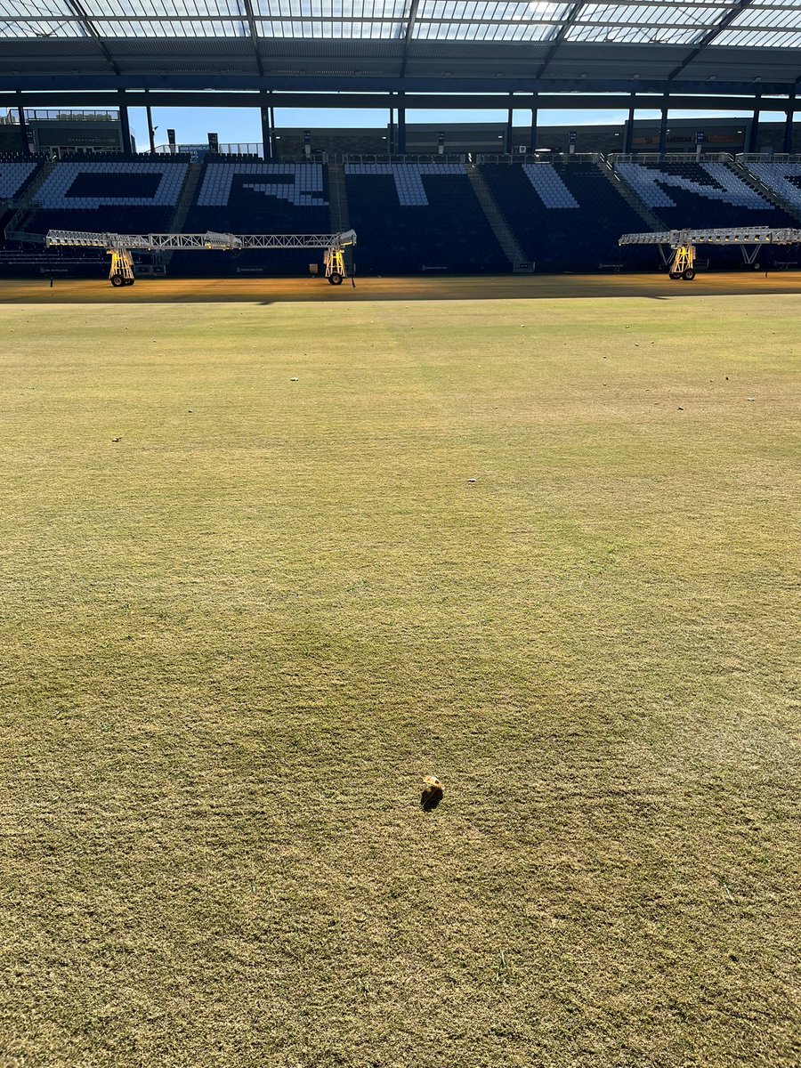 Casey Montgomery tweet media