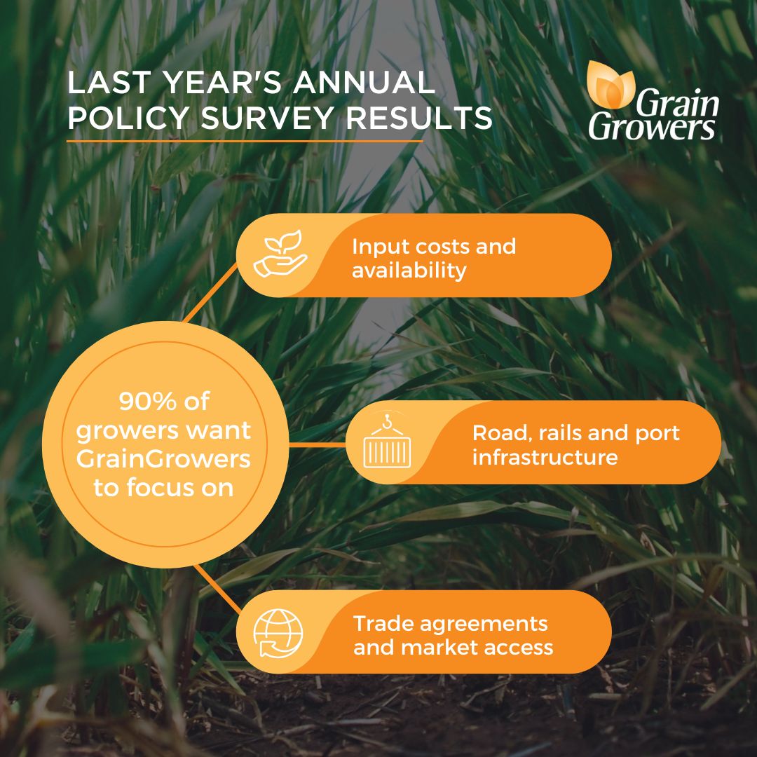 GrainGrowers' Annual Policy Survey is used to determine the areas of focus of GrainGrowers. All Australian grain growers can have a say and it can impact decisions on nation wide policies.

Have your say: bit.ly/3l7w48d