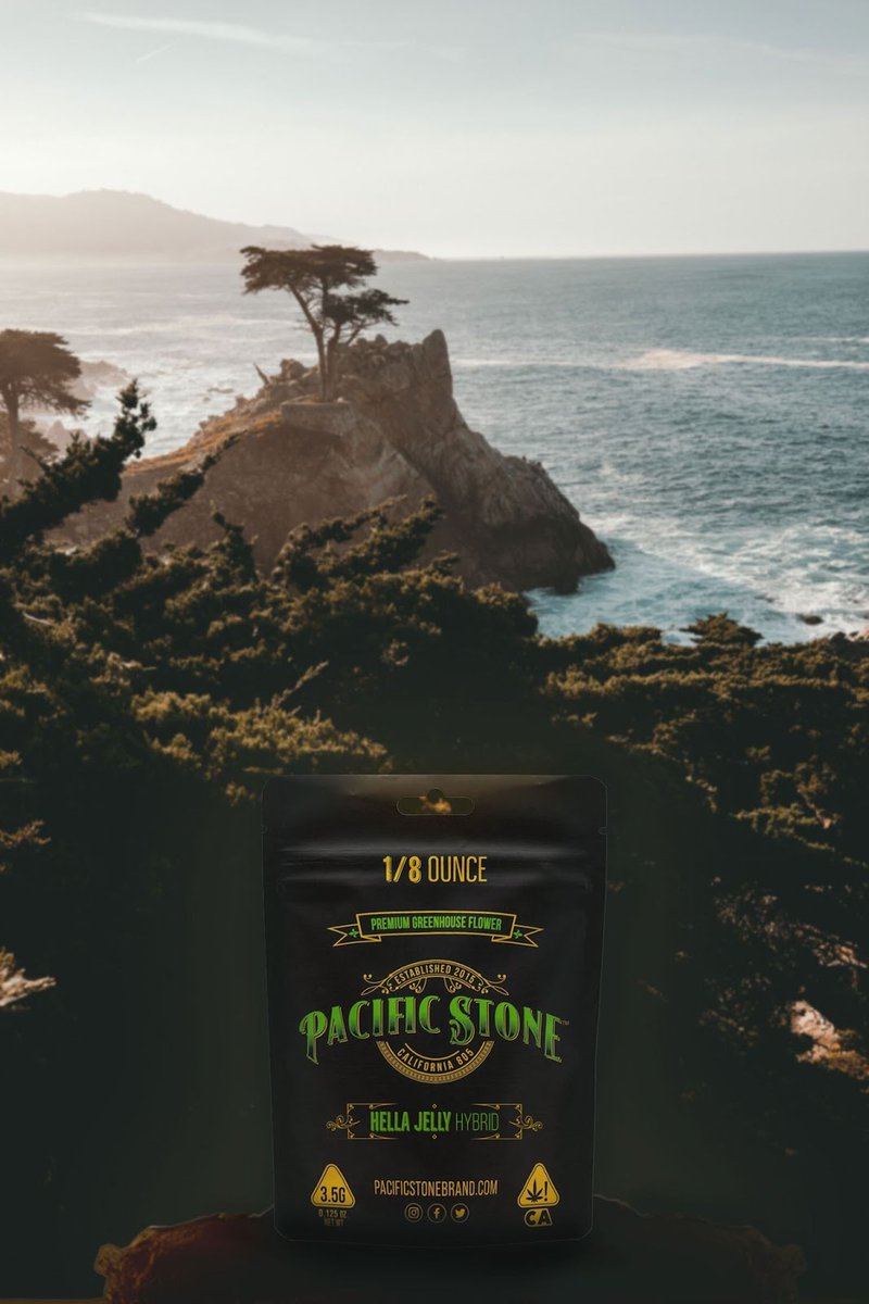 Pacific Stone tweet media