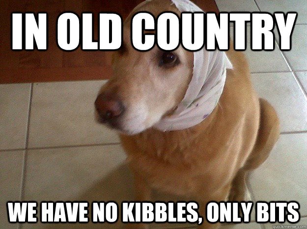 ellelljaytoo's tweet photo. #YouKnowItIsTimeWhen the terms mutt and cur have become insults. Itโs all dipsy-doodles and labra-poos nowadays.
Go chase yourselves, boooo.
#dogtweet #adoptarescue ((๐พโฅ๏ธ)) https://t.co/W1Va7F1VBq