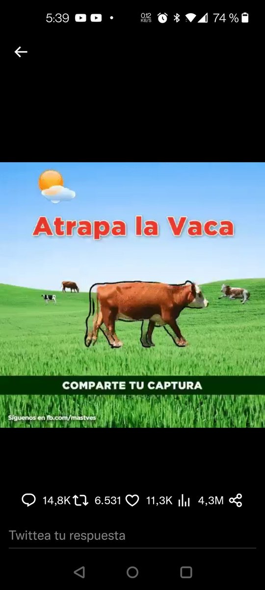 dkly2005's tweet photo. @momentoviral https://t.co/vRREdrVOMy