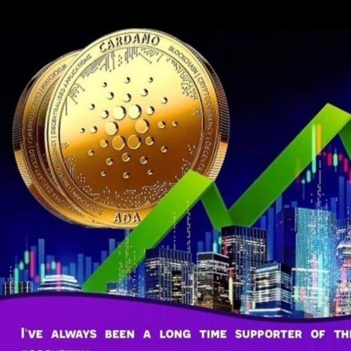 #صورة_ملف_شخصي_جديدة