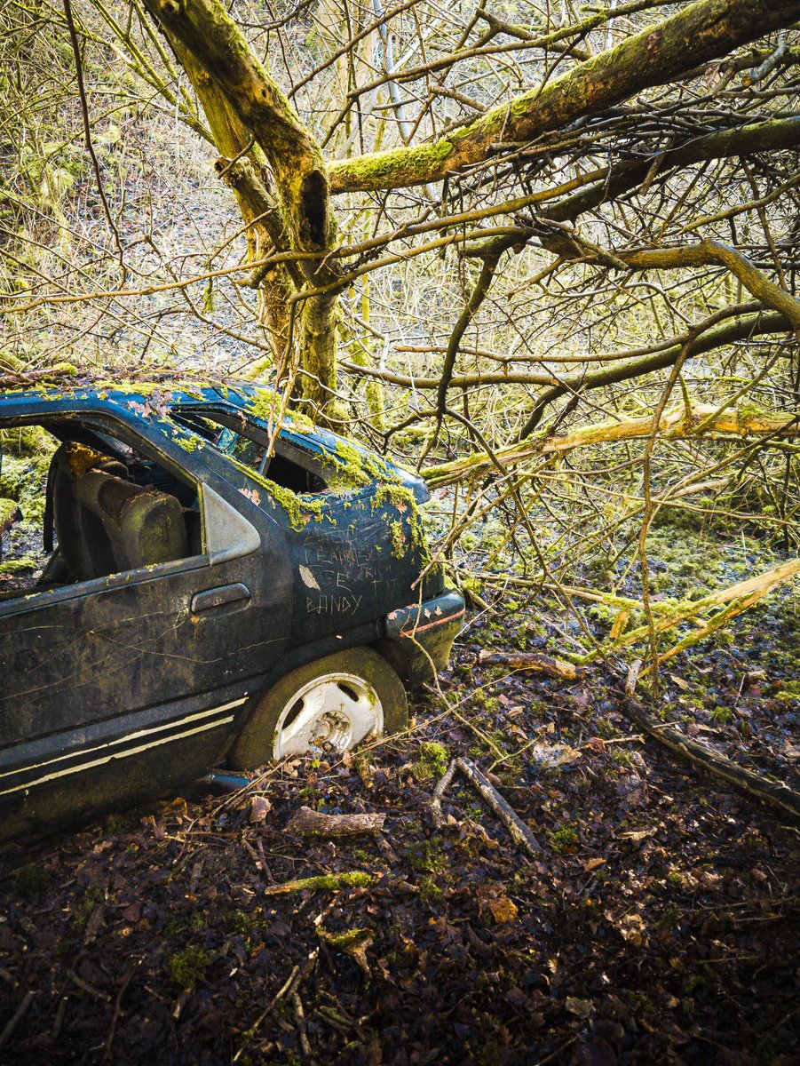 You can’t park there, mate! #cleevecommon