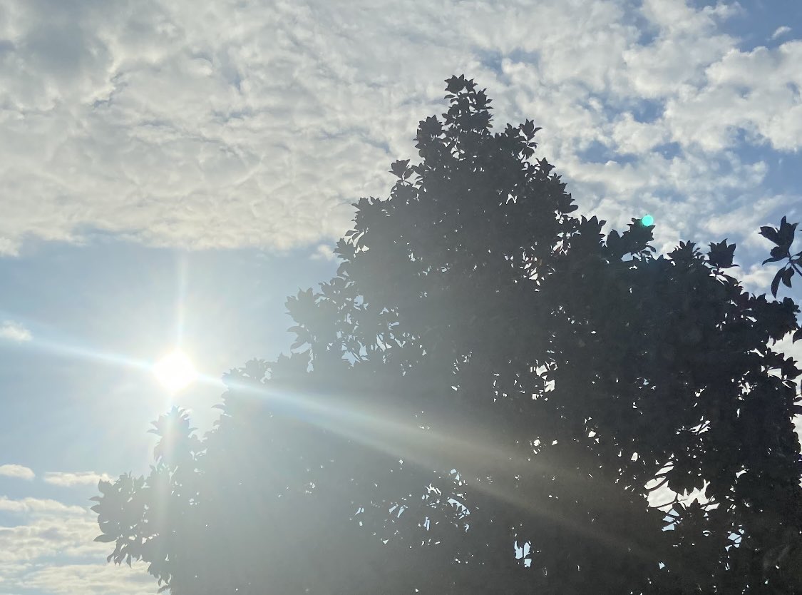 Georgia Connections tweet media