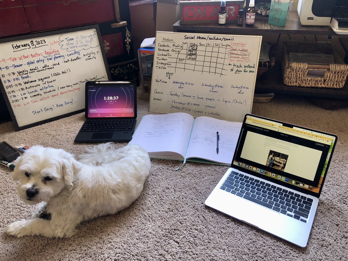 Sybil Hall (she/her) tweet media