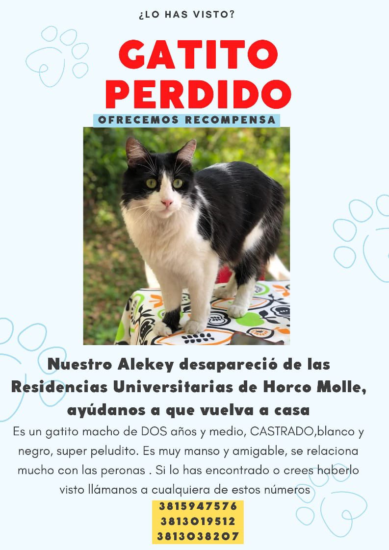 ImanolEsperguin's tweet photo. Por favor compartir 🙏🏽 https://t.co/j7WwJ6N8zS