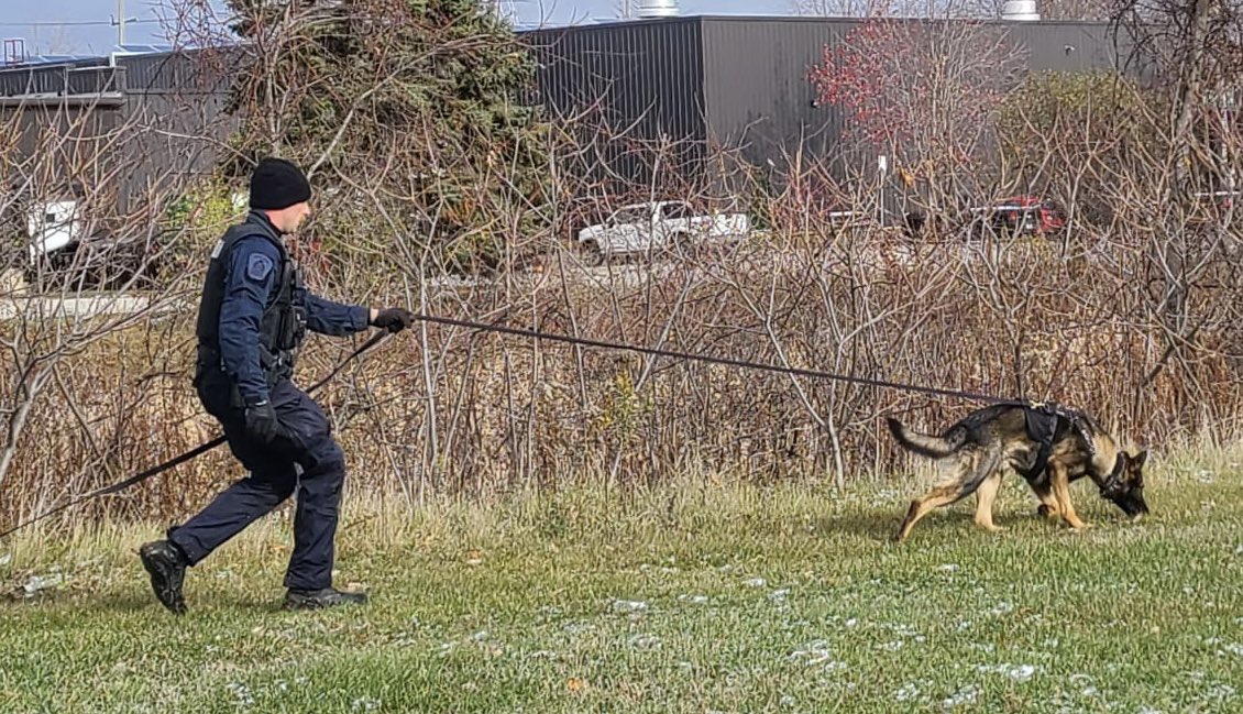 🚨WE GOTCHA🚨

Yesterday officers responded to a weapons call and the suspect fled on foot. PSD Hank tracked the suspect to a near by house and they were taken into custody.