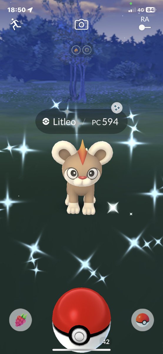 Frillish 😍 Surprise Shiny Litleo✨✨
#PokemonGO #ポケモンGO #色違い #Shiny #ShinyPokemon #Pokemon #ポケモン #CommunityDay #PokemonGOCommunityDay #PokemonSwordandShield  #PokemonScarletViolet #Frillish #Litleo #Variocolor #SeasonMythicalWishes