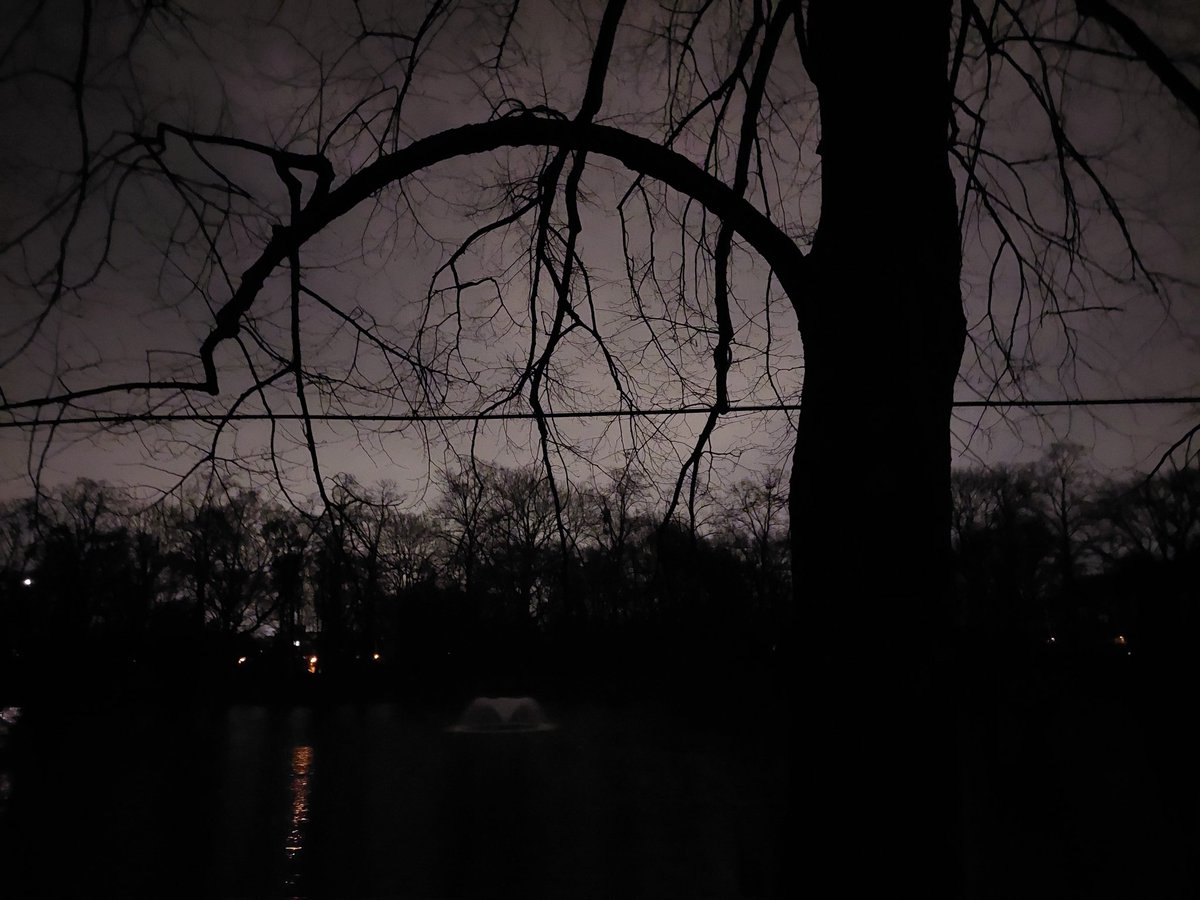 Liebe Stadt <a href="/Koeln/">Stadt Köln</a>: was sind das für Drähte mit Schläuchen (?) an den Seiten des Weihers im Blücherpark?