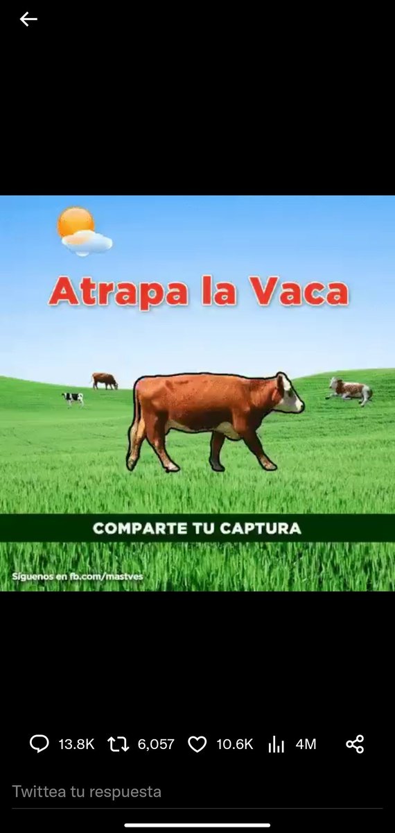 gusmiranda88's tweet photo. @momentoviral https://t.co/TQdCHFkpDw