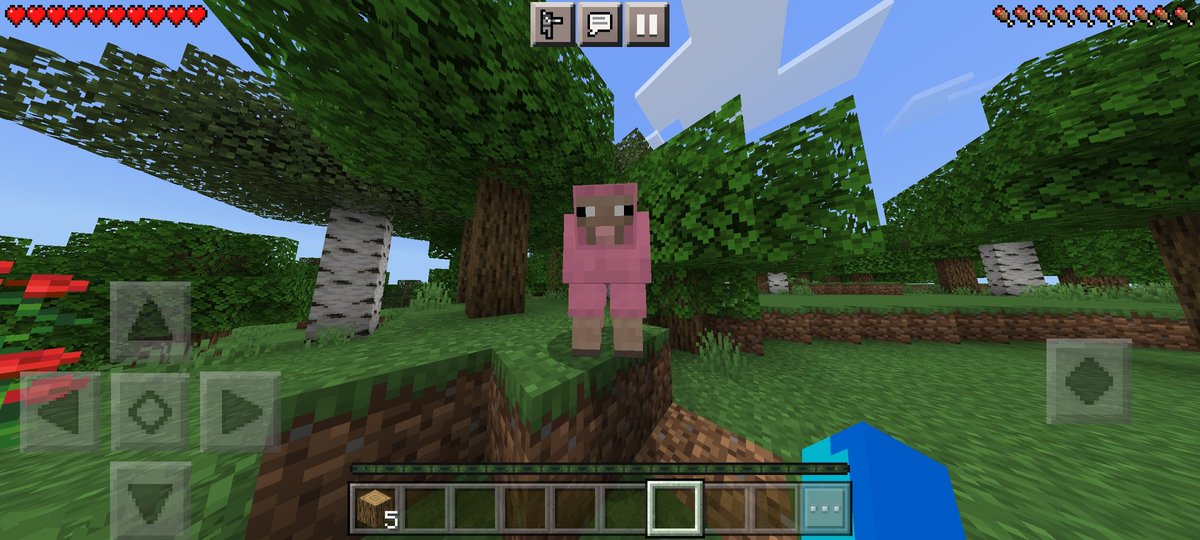 maftifloppa's tweet photo. I'M FOUND A PINK SHEEP #Minecraft https://t.co/vLaghsKVcd
