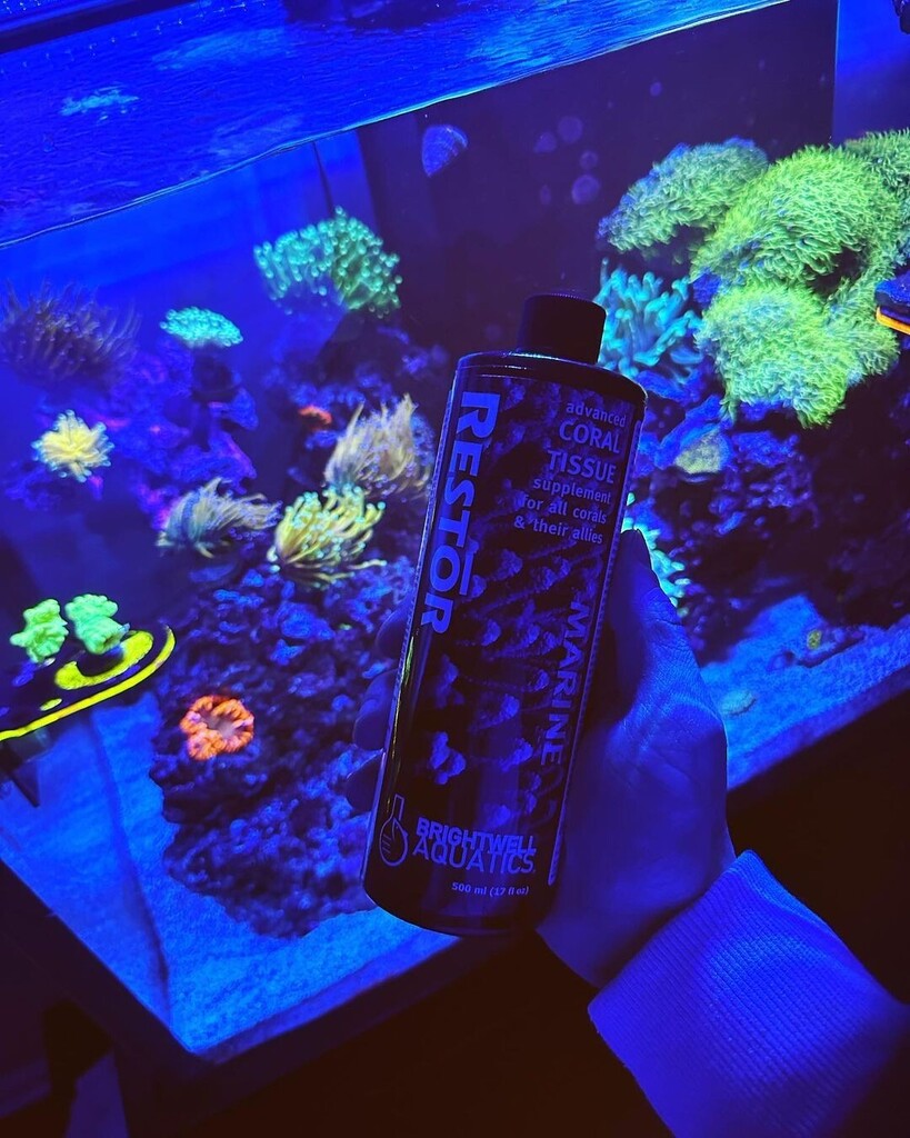 Repost <a href="/grim/">Grim</a>.reef01 

Going to start dosing my tank with some @brightwellaquatics Restor….trying to make the color really pop in the torches and all my other corals!! Going to be adding it every couple days to start and see how it works!!!

#fueledby… instagr.am/p/CoffeSSO4YV/