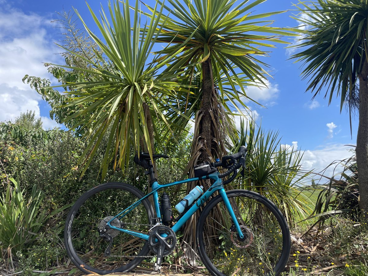 Ellie Stones tweet media