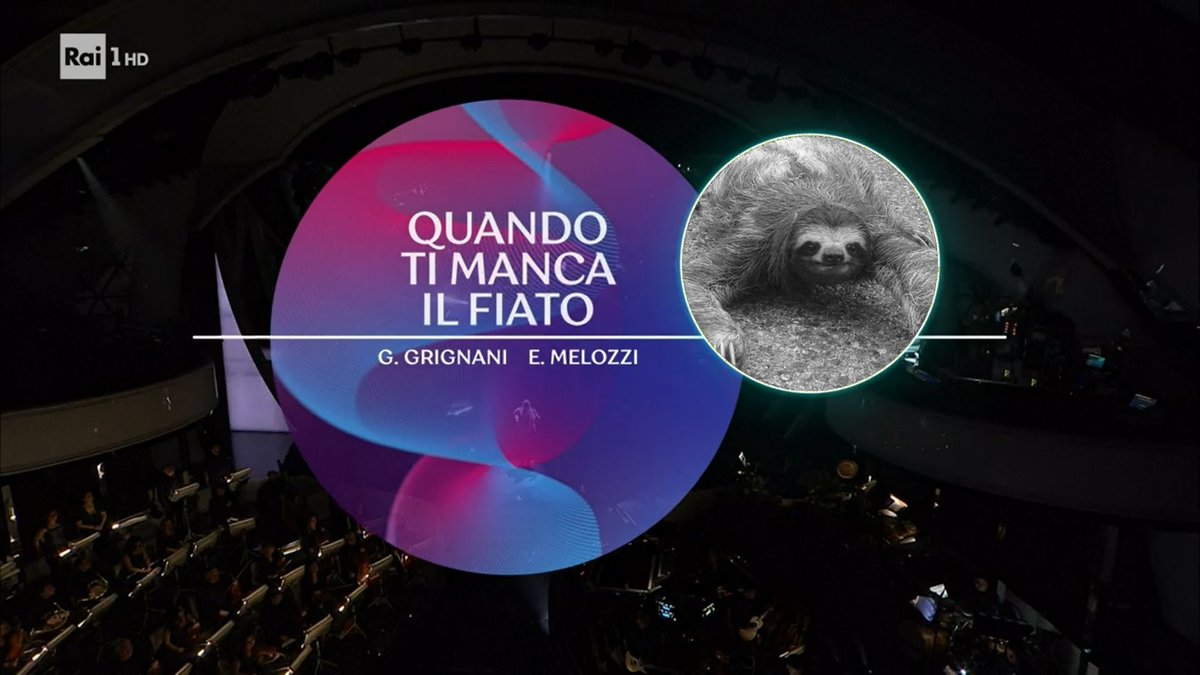 BarbascuraX's tweet photo. Buon Sanbello https://t.co/4H64NZU1rU