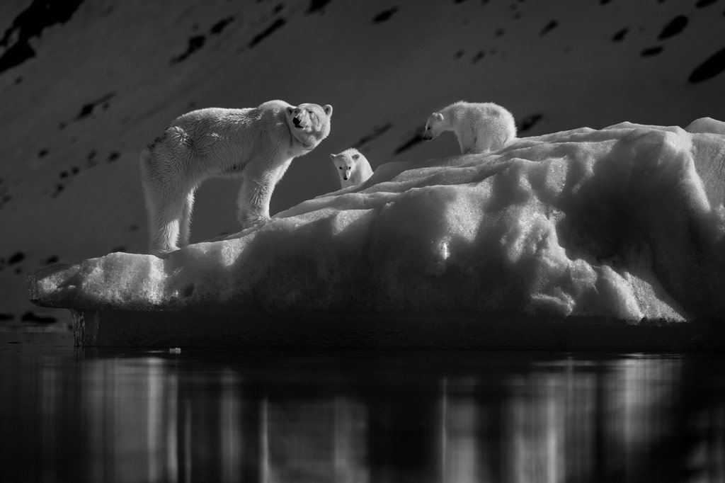 Geoff Harris caught up with Chris Coe, founder of <a href="/TPOTY/">TPOTY</a>. Chris shares some insider tips for success in the next round of the competition, which will open in May: amateurphotographer.com/latest/photo-n…
📷 Roie Galitz