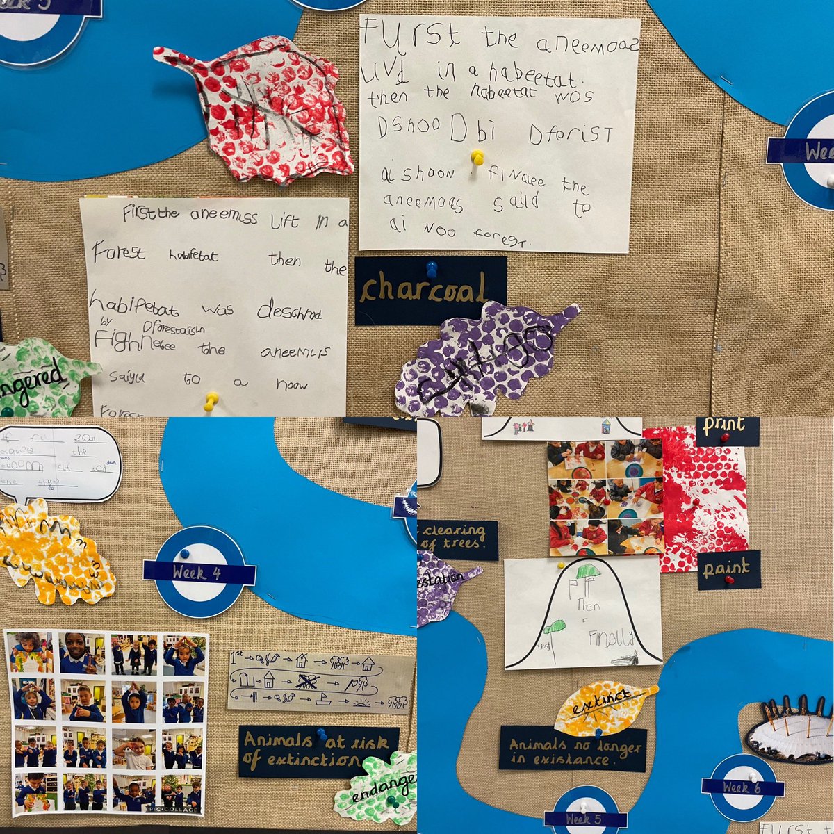 Foxfield EYFS Chestnut tweet media