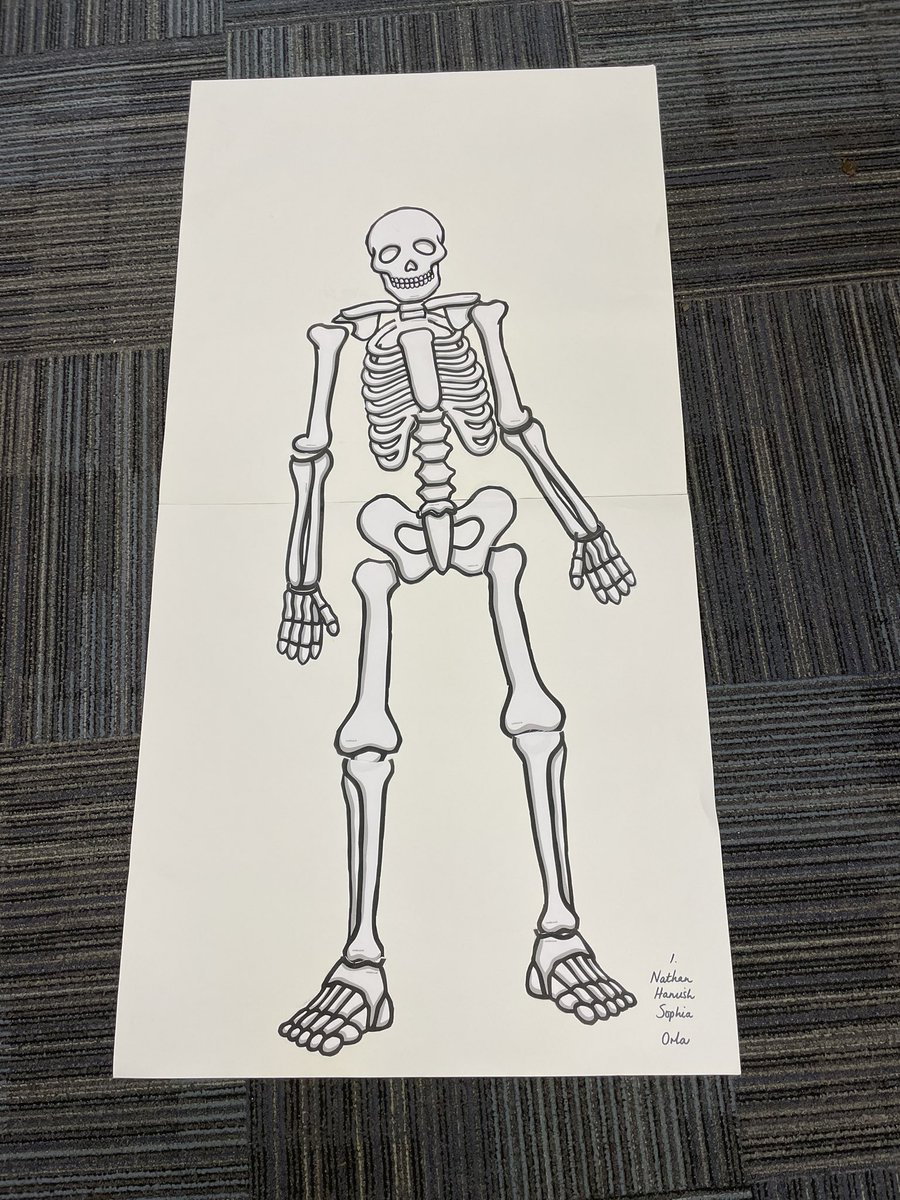 Dunbar Primary P4 tweet media