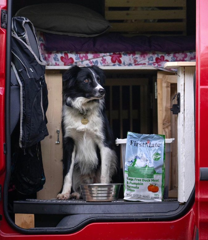 FirstMatePet's tweet photo. Quality fuel on the move🐾
📷️: @tenpaws_away
#doglife #happydog #petfood #adventuredog
#petfoodmatters #petfoods #pethealth #madeincanada #canadapetfood #shoplocal #myfirstmate #firstmatepetfoods
https://t.co/SsJmyBISZI