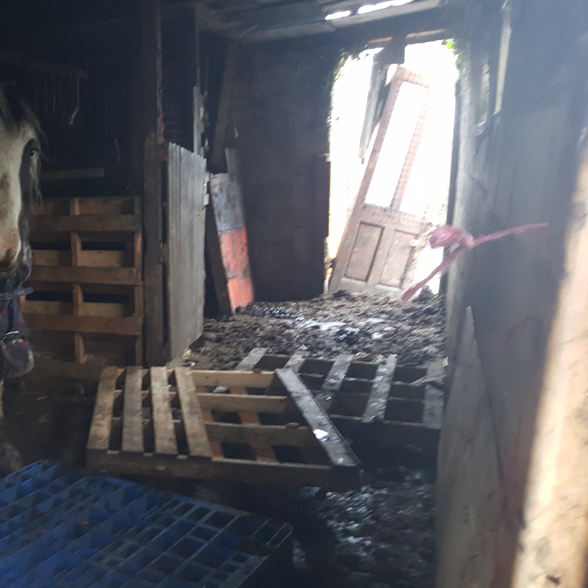 Community4Horse's tweet photo. We visit horses in some very unsuitable environments, where we advise the owners to make other arrangements for their horses as a matter of urgency. sometimes we have to notify the appropriate authority to ensure that the horse / horses have a suitable environment https://t.co/oO6YTtmmrB