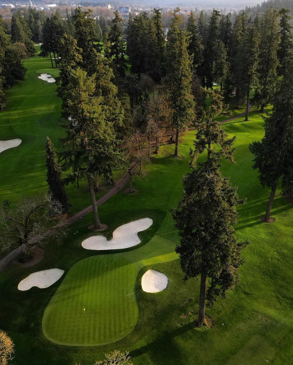 GOLF 💚⁠
•⁠
cc: <a href="/sophiemcgolf/">Sophie McFaul</a>
•⁠
Don't forget to tag us in your golf course pics for a chance to be featured⁠
•⁠
#trendygolf #golf #golfcourse #whywelovethisgame